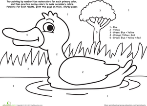Watercolor Paint by Number: Duck