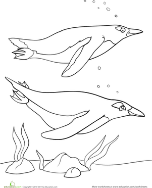 Penguin Pals Coloring Page