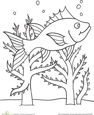 Color the Swimming Fish Scene