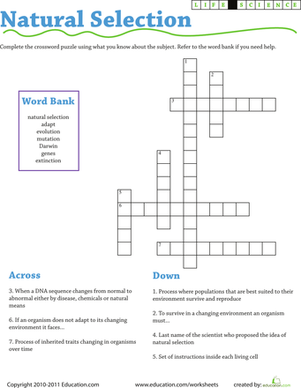 Life Science Crossword: Natural Selection