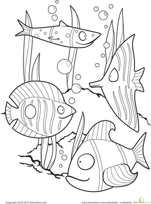 Color the Fancy Fish