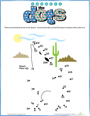 Connect the Dots: Coyote