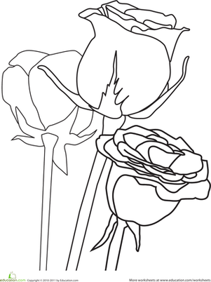 Color the Roses