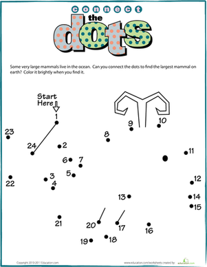 Connect the Dots: Whale