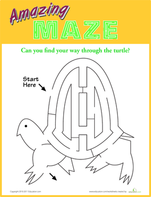 Turtle Maze