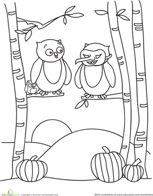 Color the Halloween Owls