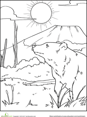 Color the Grizzly Bear