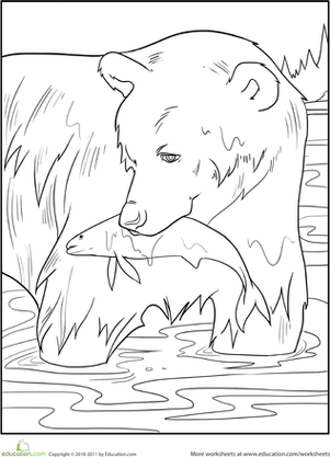 Color the Fishing Bear