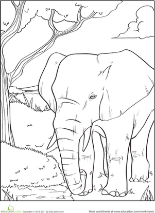 Elephant Coloring Page