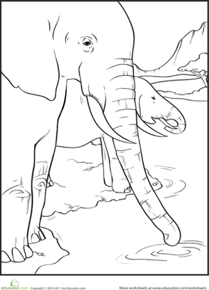 Thirsty Elephants Coloring Page