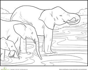 Color the Wading Elephants