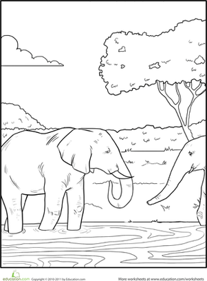 Color the Elephants