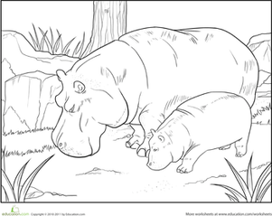 Color the Grazing Hippopotamuses