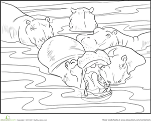Color the Hippopotamus Pod