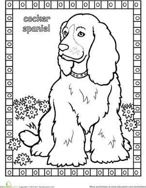 Cocker Spaniel Coloring Page