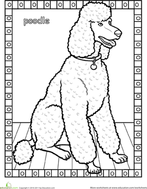 Poodle Coloring Page