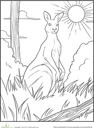 Color the Gazing Kangaroo