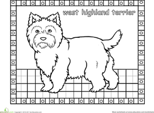 Color the West Highland Terrier