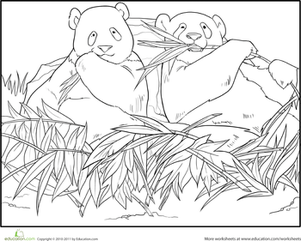 Panda Pals Coloring Page