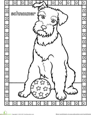 Schnauzer Coloring Page