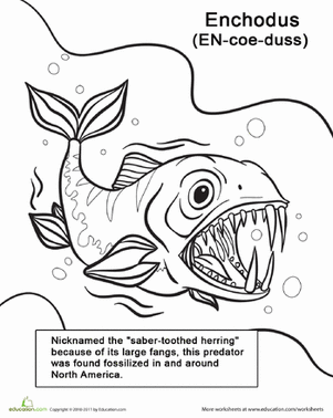 Color the Excited Enchodus