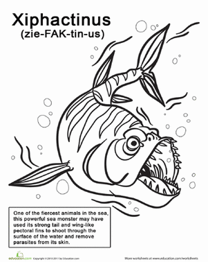 颜色严格Xiphactinus