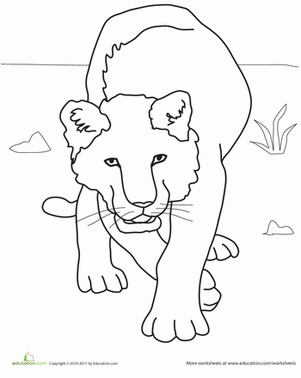 Lioness Coloring Page