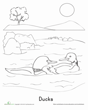 Ducks Coloring Page