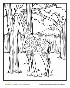 Color the Proud Giraffe