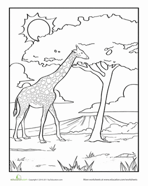 Color the Galloping Giraffe