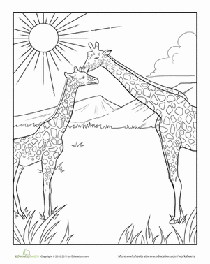 Color the Nuzzling Giraffes