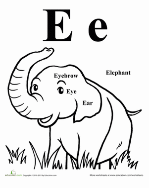 Words That Start With E