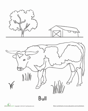 Bull Coloring Page