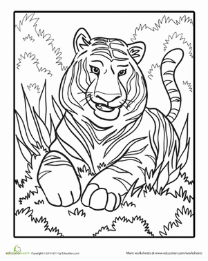Color the Smiling Tiger