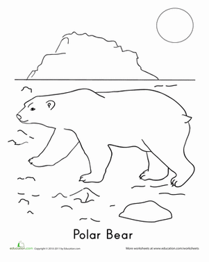 Polar Bear Coloring Page
