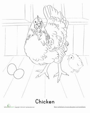 Hen Coloring Page