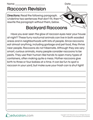 Raccoon Revision