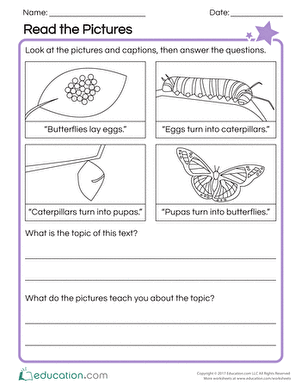 Read the Pictures