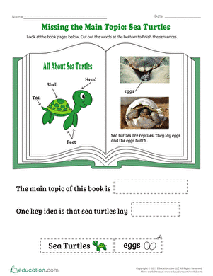 Missing the Main Topic: Sea Turtles