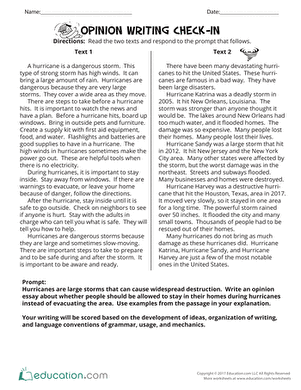 Opinion Writing Check-In