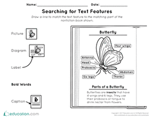 Searching for Text Features