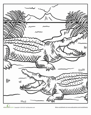 Color a Couple of Alligators