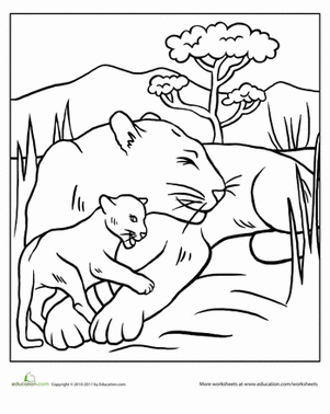 Color the Happy Leopards