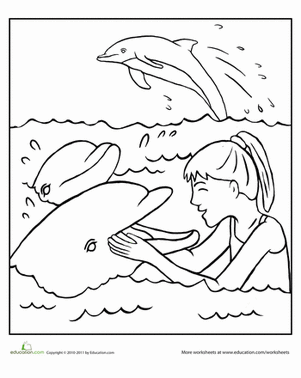 Color the Friendly Dolphins