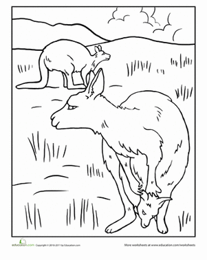 Kangaroo Family Coloring Page