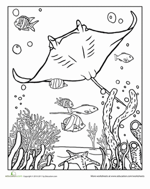 Manta Ray Coloring Page