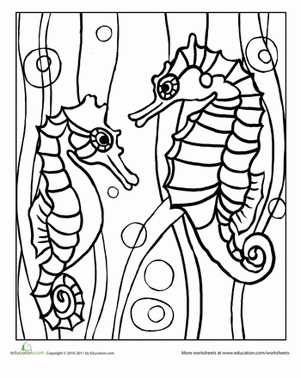 Color the Seahorses