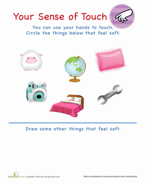 Your Sense of Touch