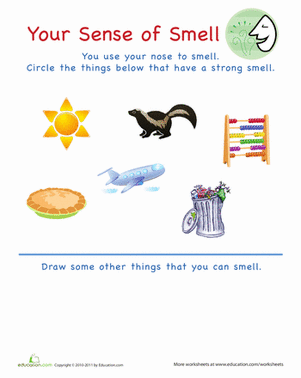 Sense of Smell