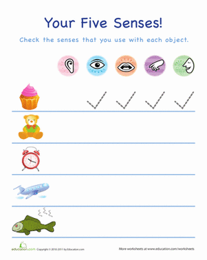 Using Your Five Senses